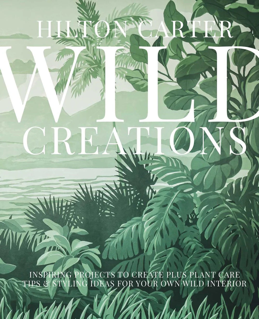 Wild Creations:Plant Care Tips & Styling Ideas