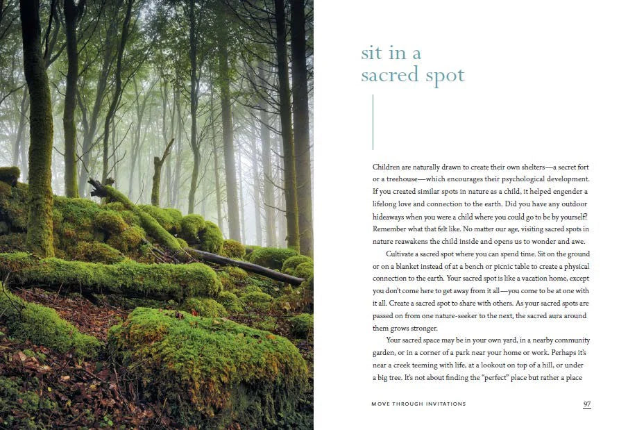 Healing Magic of Forest Bathing: Finding Calm